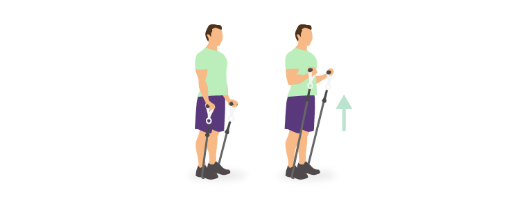Curl biceps met elastiek