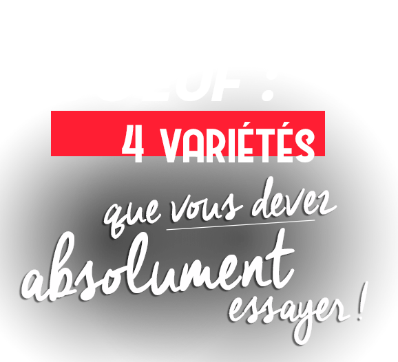 Bœuf : 4 variétés que vous devez absolument essayer !